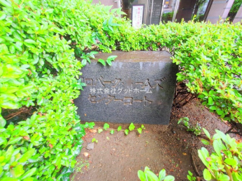 nOώʐ^@-